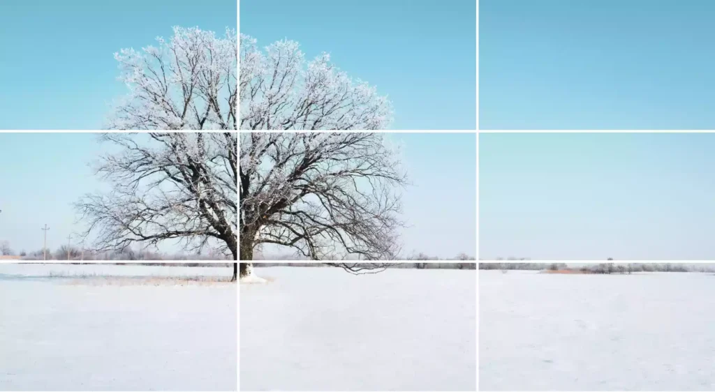 آموزش کار با خطوط راهنما در عکاسی