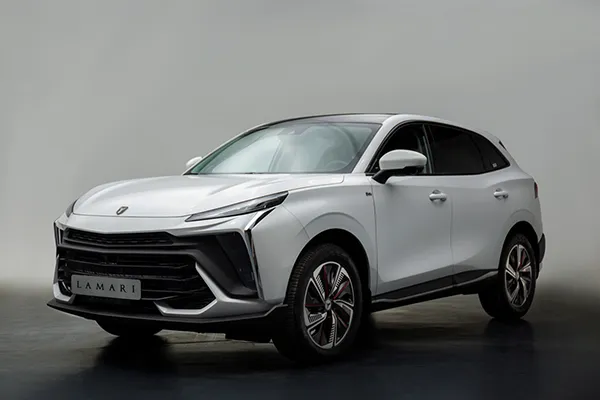 شرایط فروش لاماری