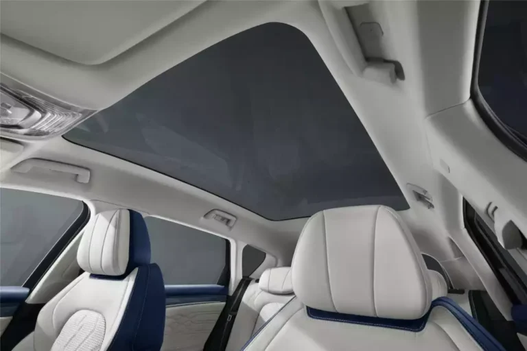 بررسی وویا فری