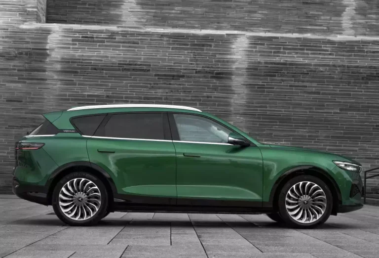 بررسی وویا فری