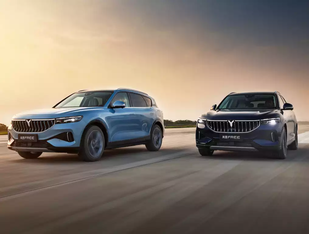 بررسی وویا فری