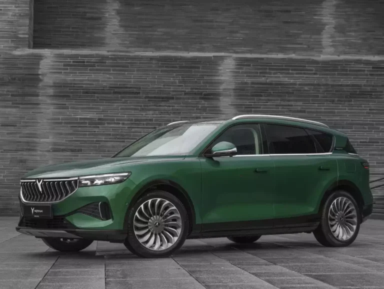 بررسی وویا فری