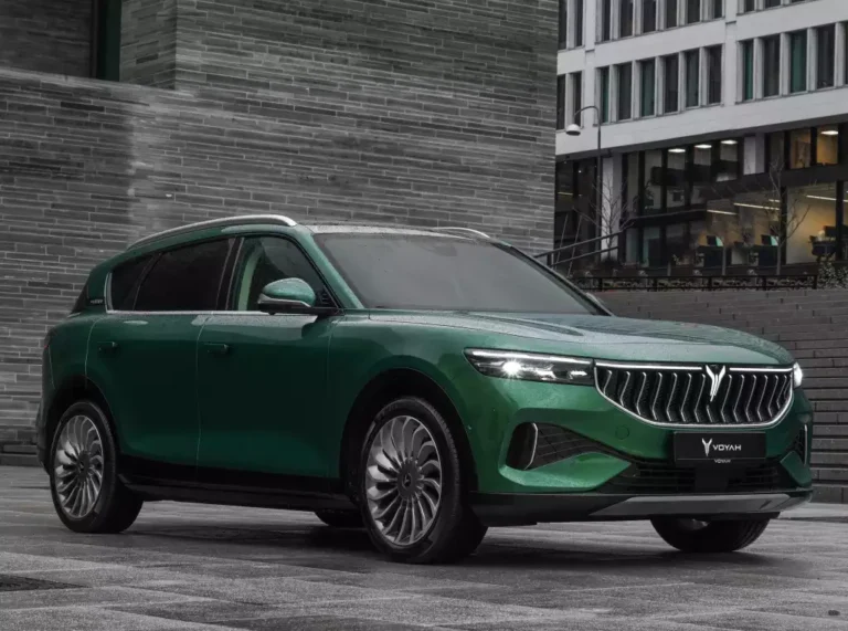 بررسی وویا فری